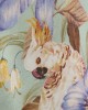        Костюм Talore шелковый